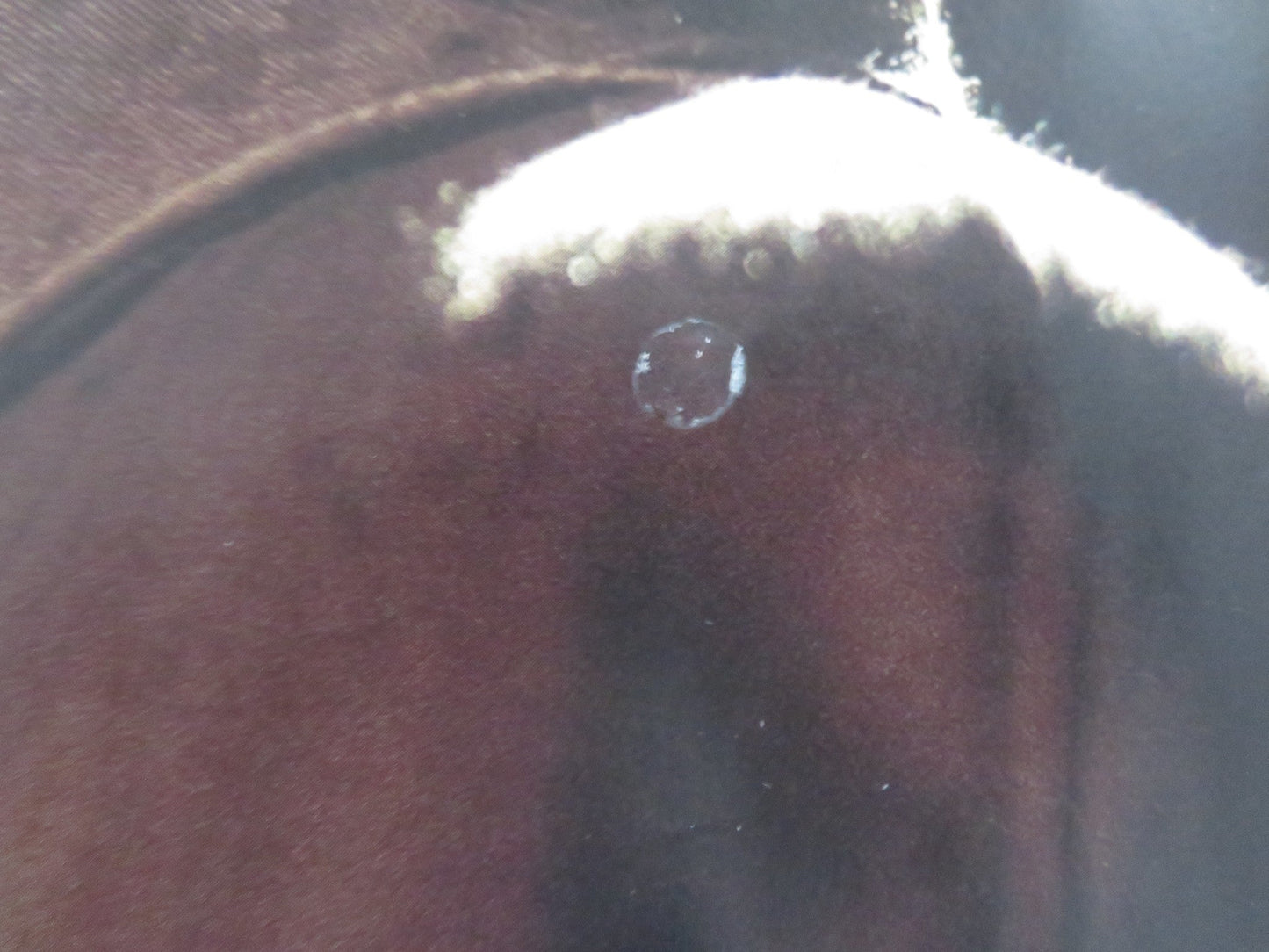 FREUD'S LAST SESSION UK QUAD ROLLED POSTER ANTHONY HOPKINS MATTHEW GOODE 2023 Rendezvous Cinema Movie posters