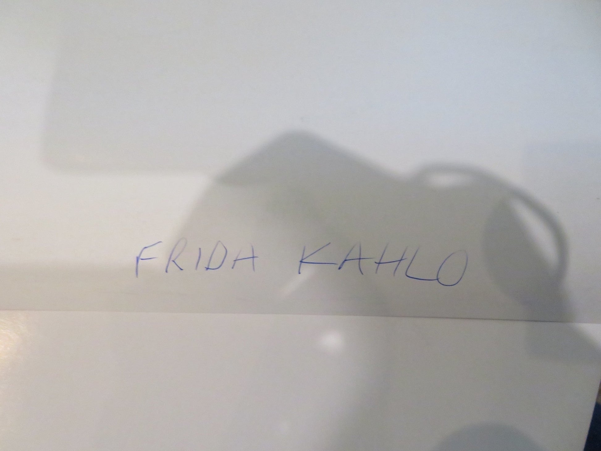 FRIDA KAHLO UK QUAD ROLLED POSTER DIANA BERMUDEZ 2020 Movie posters