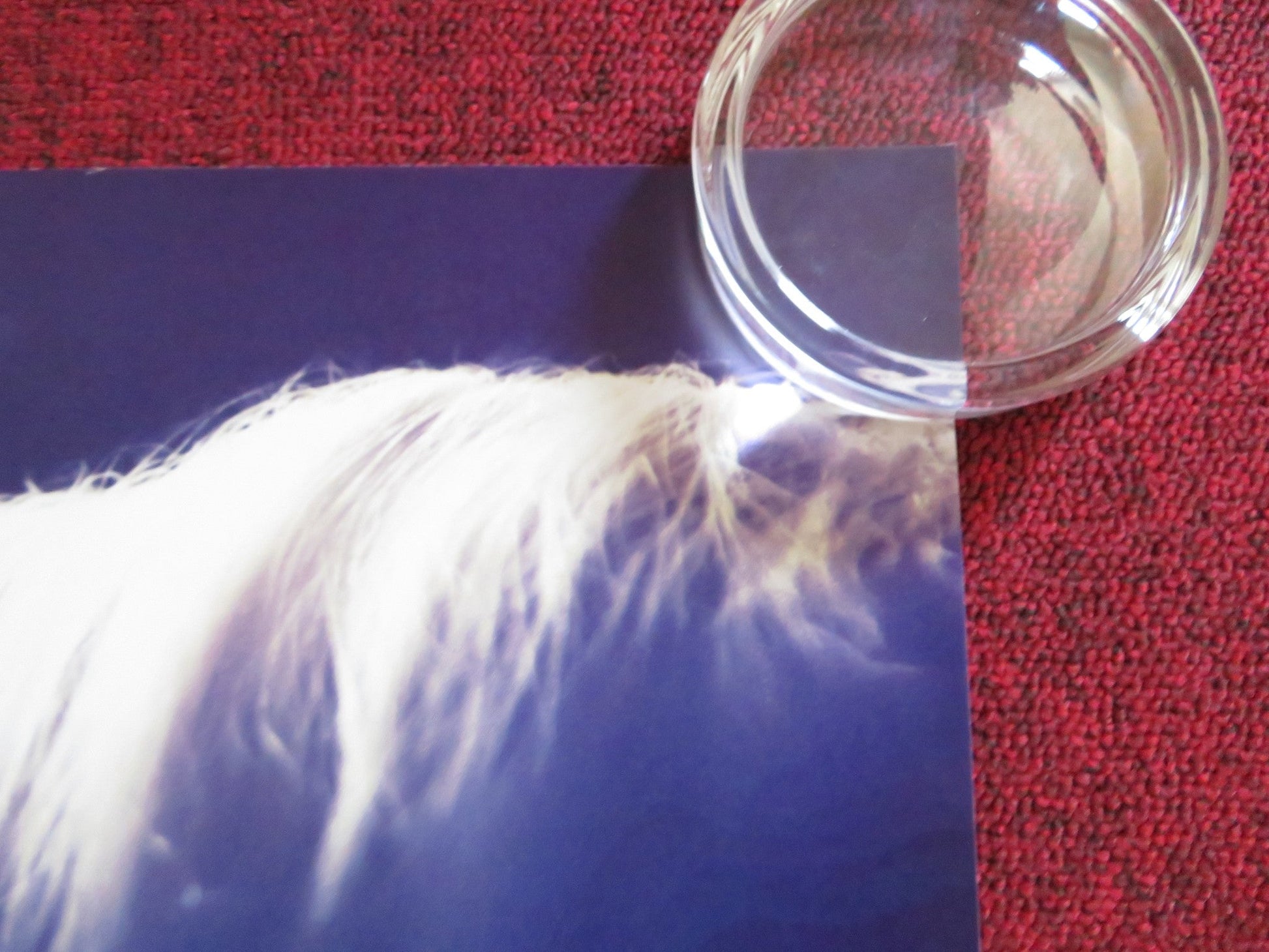 FUNNY GIRL UK QUAD ROLLED POSTER SHERIDAN SMITH DARIUS CAMPBELL 2018 Rendezvous Cinema Movie posters