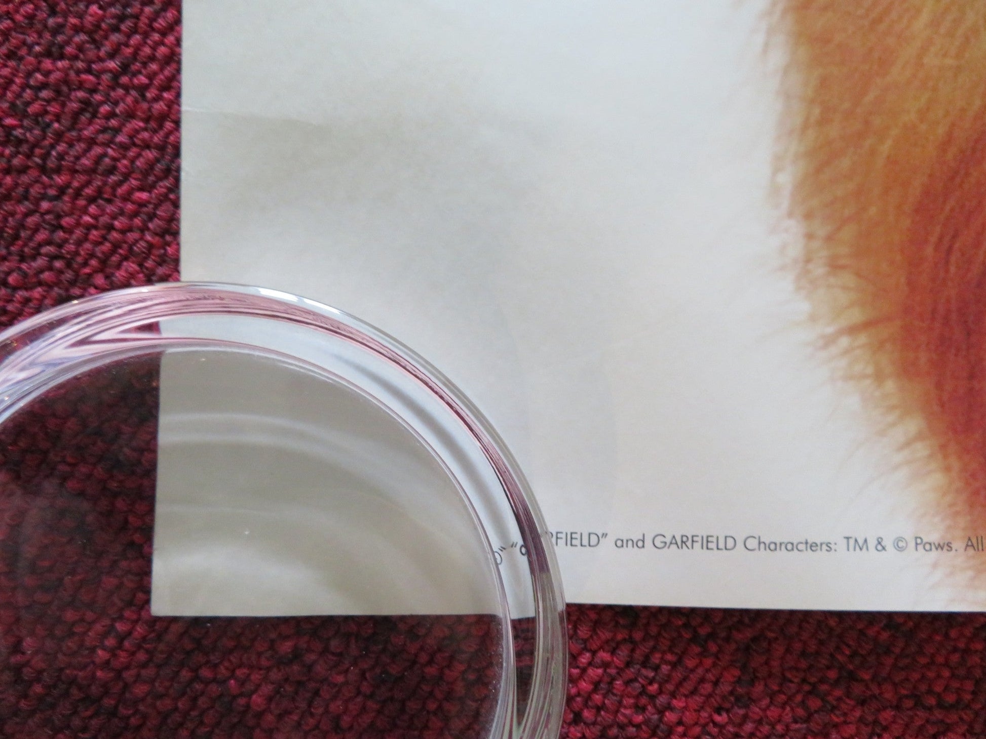 GARFIELD: A TALE OF TWO KITTIES US ONE SHEET ROLLED POSTER BRECKIN MEYER 2006 Rendezvous Cinema Movie posters