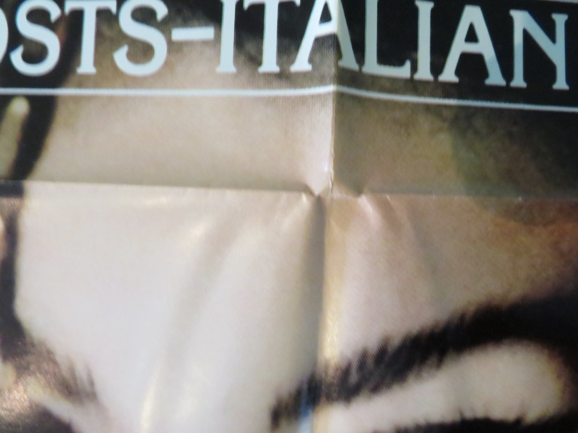 GHOSTS, ITALIAN STYLE FOLDED US ONE SHEET POSTER SOPHIA LOREN V. GASSMAN 1968 Rendezvous Cinema Movie posters