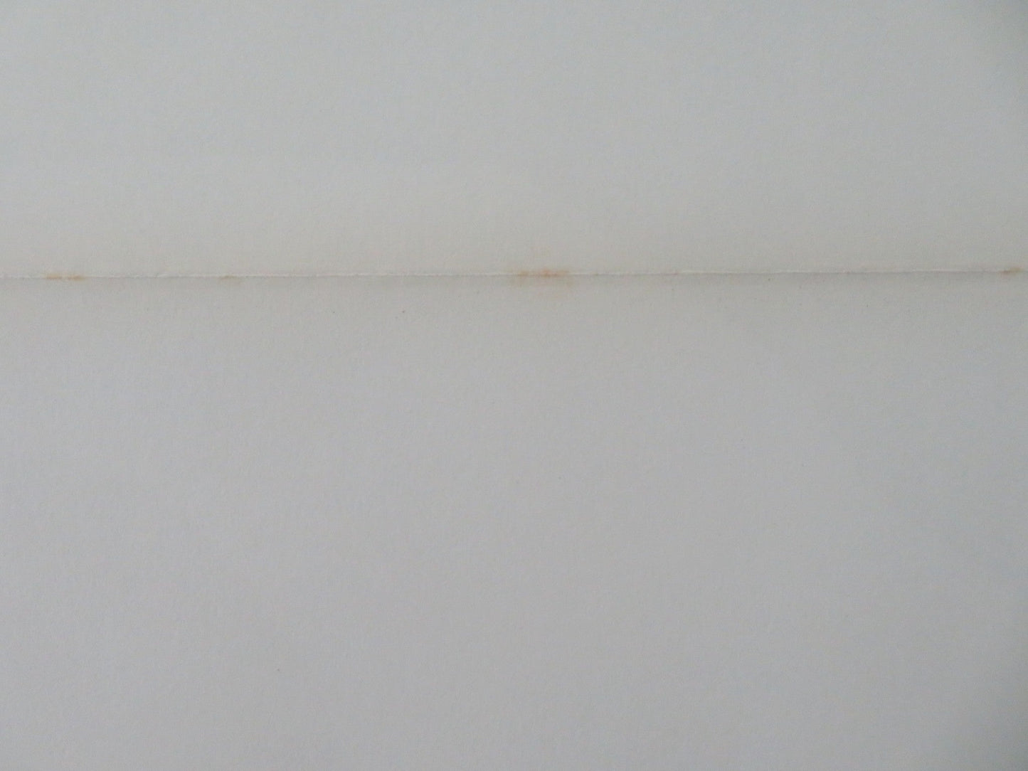 GINGER US TRI - FOLDED ONE SHEET ROLLED POSTER CHERI CAFFARO DUANE TUCKER 1971 Movie posters