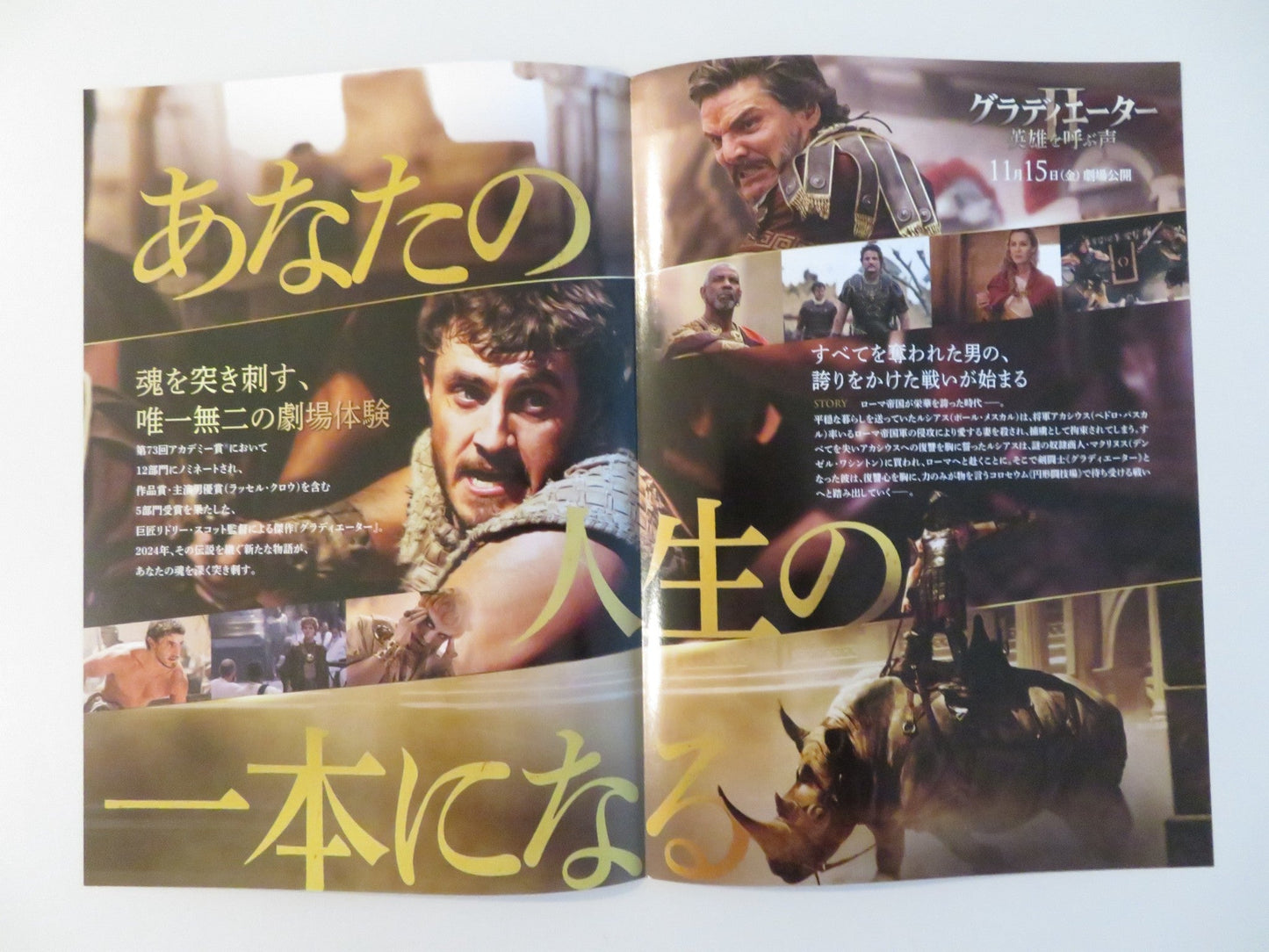 GLADIATOR 2 - B JAPANESE CHIRASHI (B5) POSTER PAUL MESCAL DENZEL WASHINGTON 2024 Rendezvous Cinema Movie posters