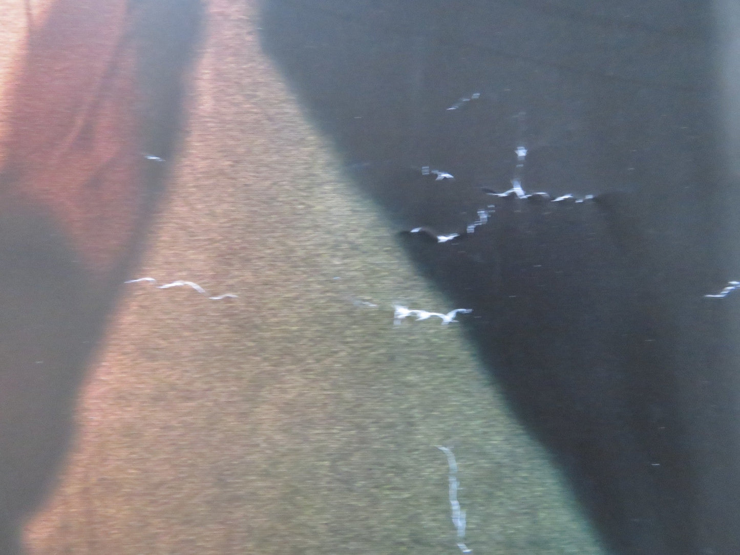 GLASS UK QUAD ROLLED POSTER JAMES MCAVOY BRUCE WILLIS 2019 Rendezvous Cinema Movie posters