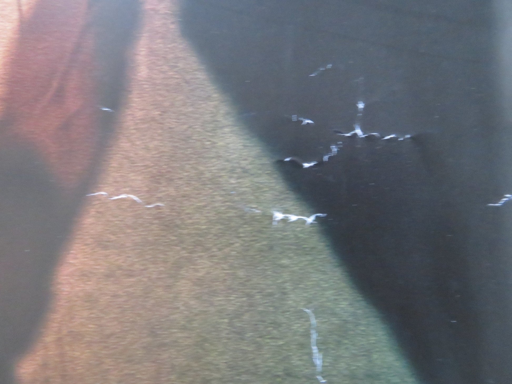 GLASS UK QUAD ROLLED POSTER JAMES MCAVOY BRUCE WILLIS 2019 Rendezvous Cinema Movie posters