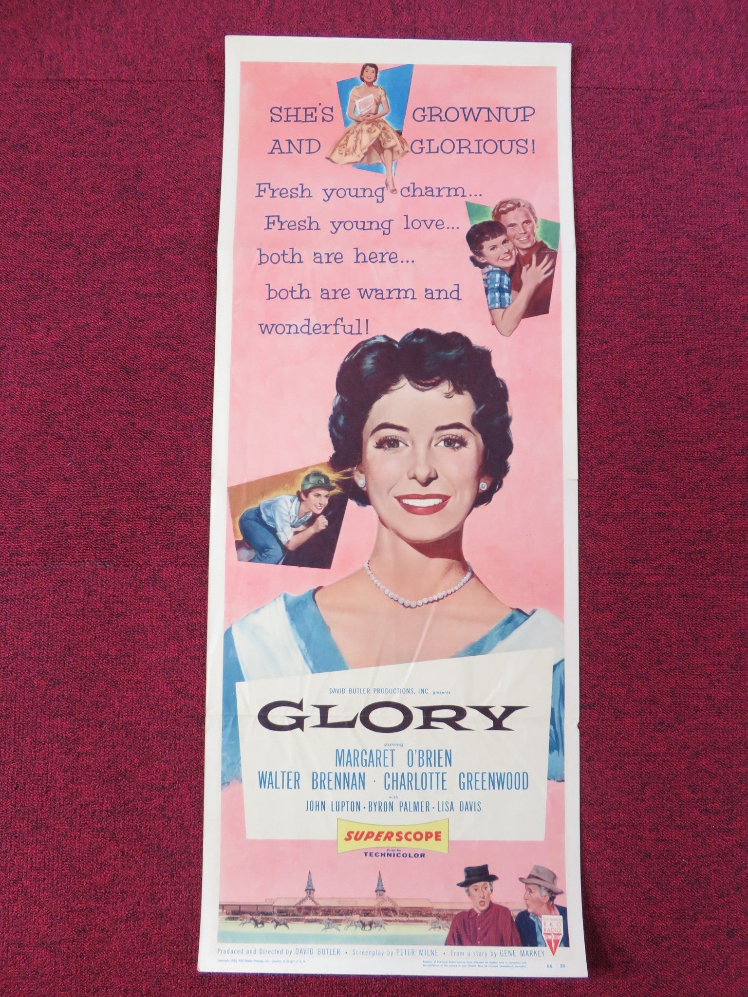 GLORY US INSERT POSTER MARGARET O'BRIEN WALTER BRENNAN 1956 Rendezvous Cinema Movie posters