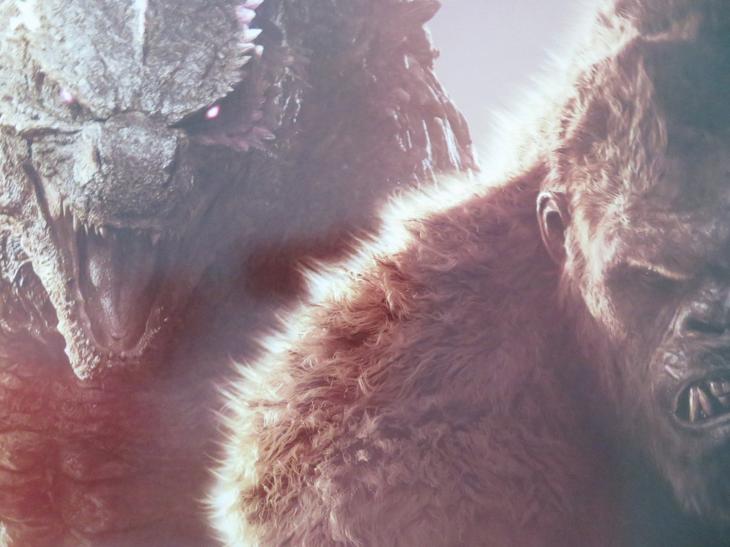 GODZILLA X KONG: THE NEW EMPIRE - B ONE SHEET ROLLED POSTER REBECCA HALL 2024 Movie posters