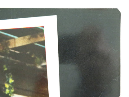 GOING HOME - F ITALIAN FOTOBUSTA POSTER ROBERT MITCHUM BRENDA VACCARO 1971 Rendezvous Cinema Movie posters