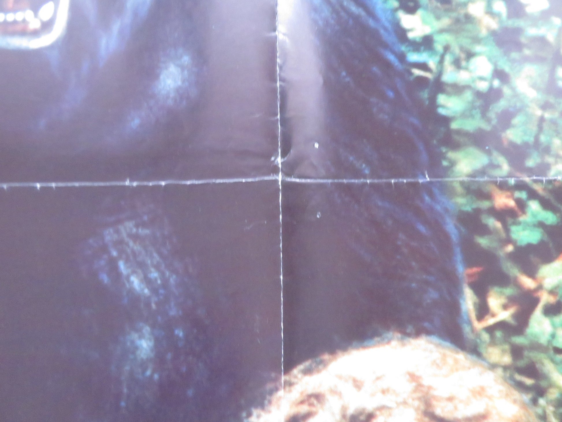 GORILLAS IN THE MIST UK QUAD ROLLED POSTER SIGOURNEY WEAVER BRYAN BROWN 1988 Rendezvous Cinema Movie posters