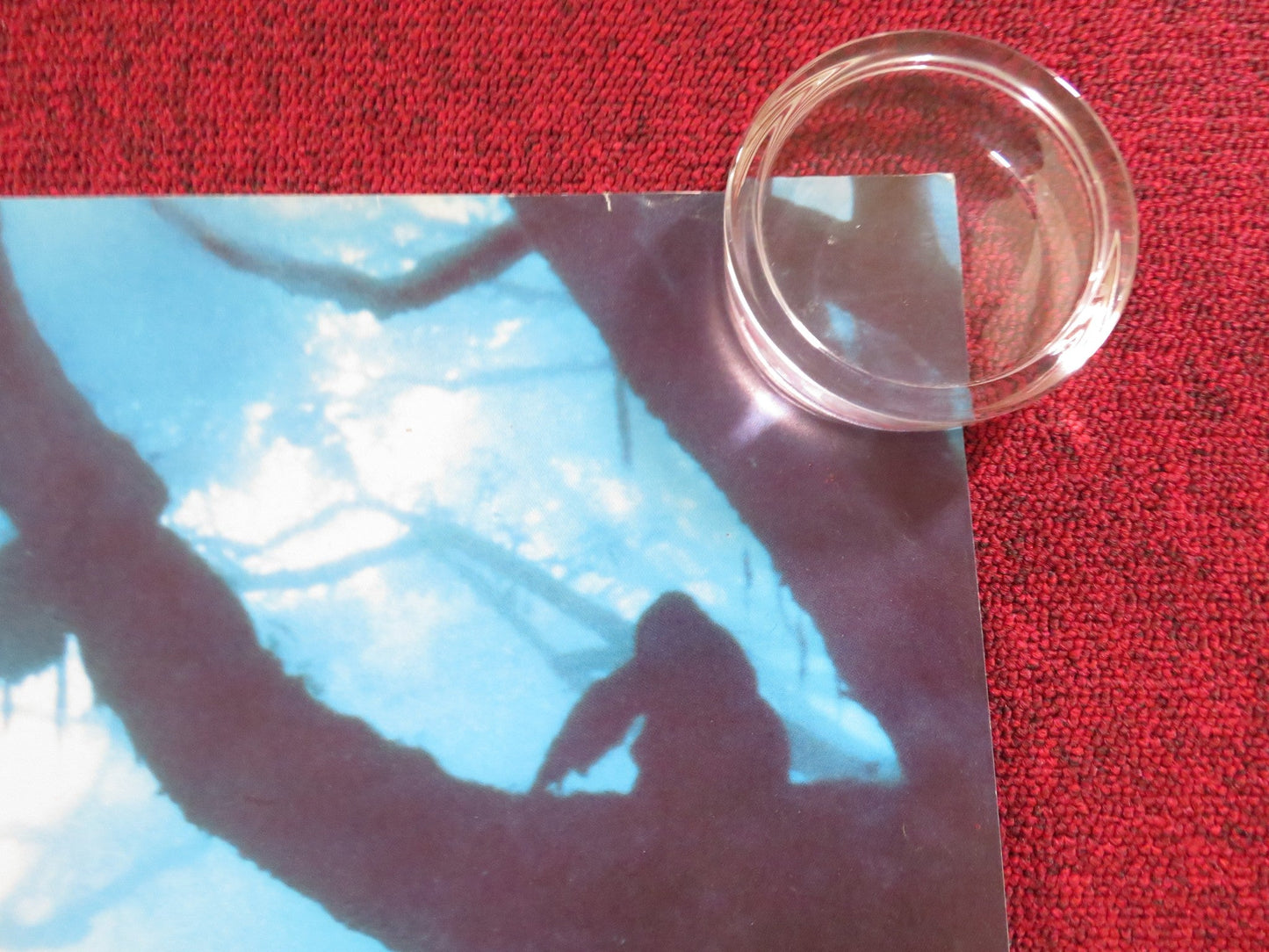 GORILLAS IN THE MIST UK QUAD ROLLED POSTER SIGOURNEY WEAVER BRYAN BROWN 1988 Rendezvous Cinema Movie posters