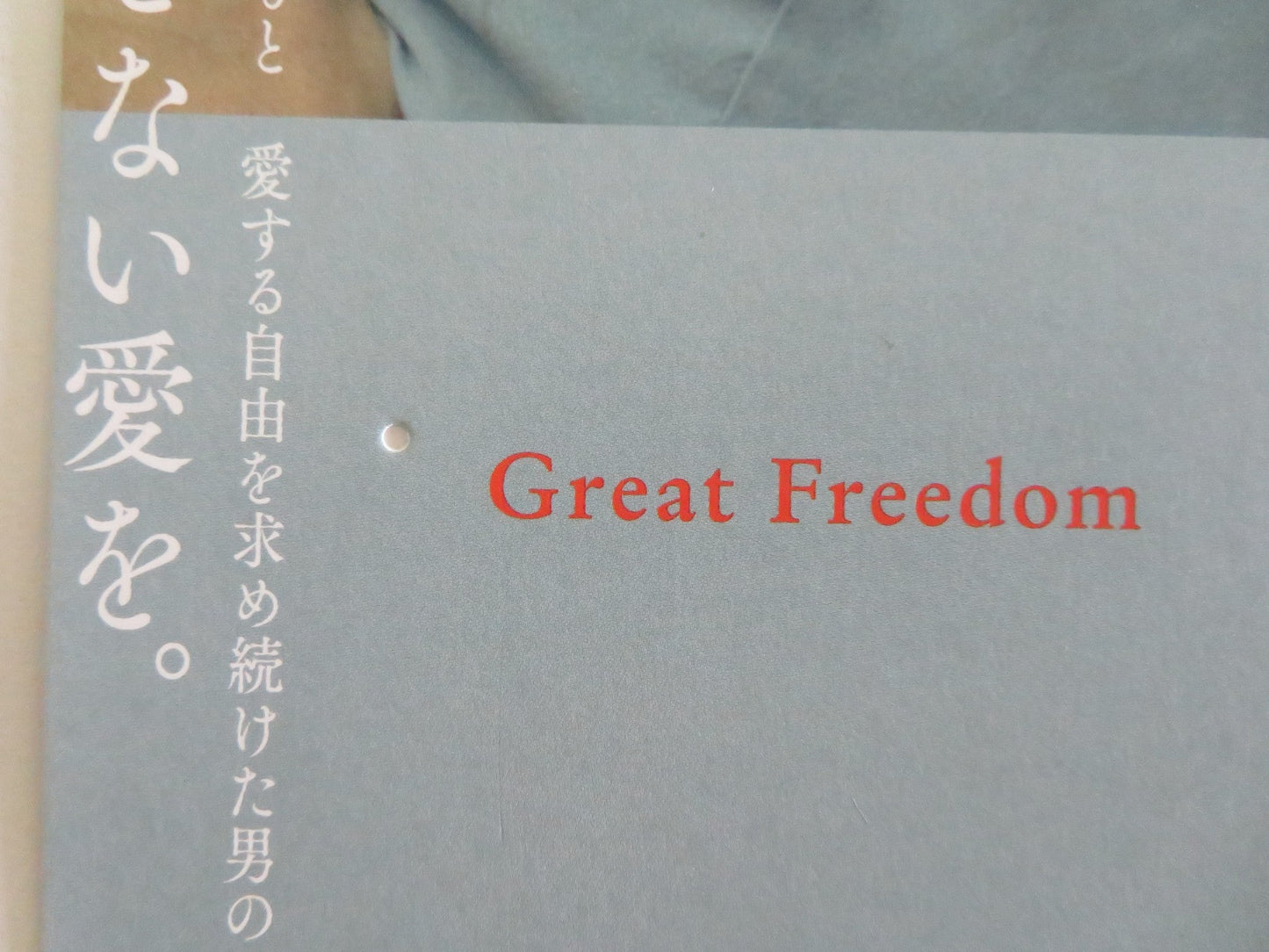 GREAT FREEDOM JAPANESE CHIRASHI (B5) POSTER FRANZ ROGOWSKI GEORG FRIEDRICH 2021 Movie posters