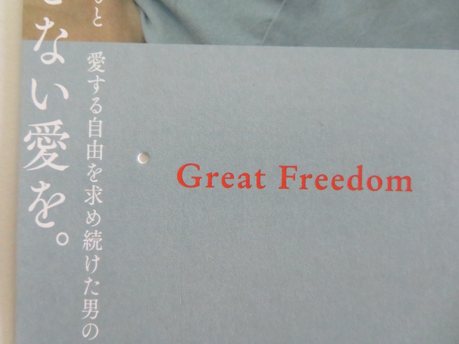 GREAT FREEDOM JAPANESE CHIRASHI (B5) POSTER FRANZ ROGOWSKI GEORG FRIEDRICH 2021 Movie posters