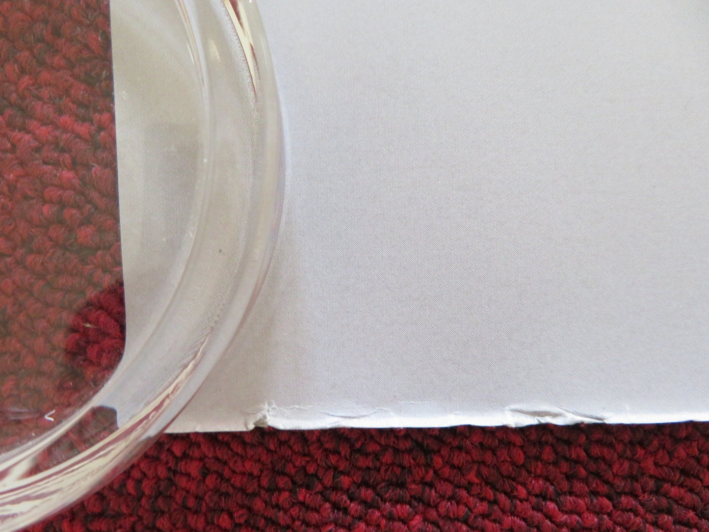 GREEN BORDER UK QUAD ROLLED POSTER JALAL ALTAWIL MAJA OSTASZEWSKA 2023 Rendezvous Cinema Movie posters