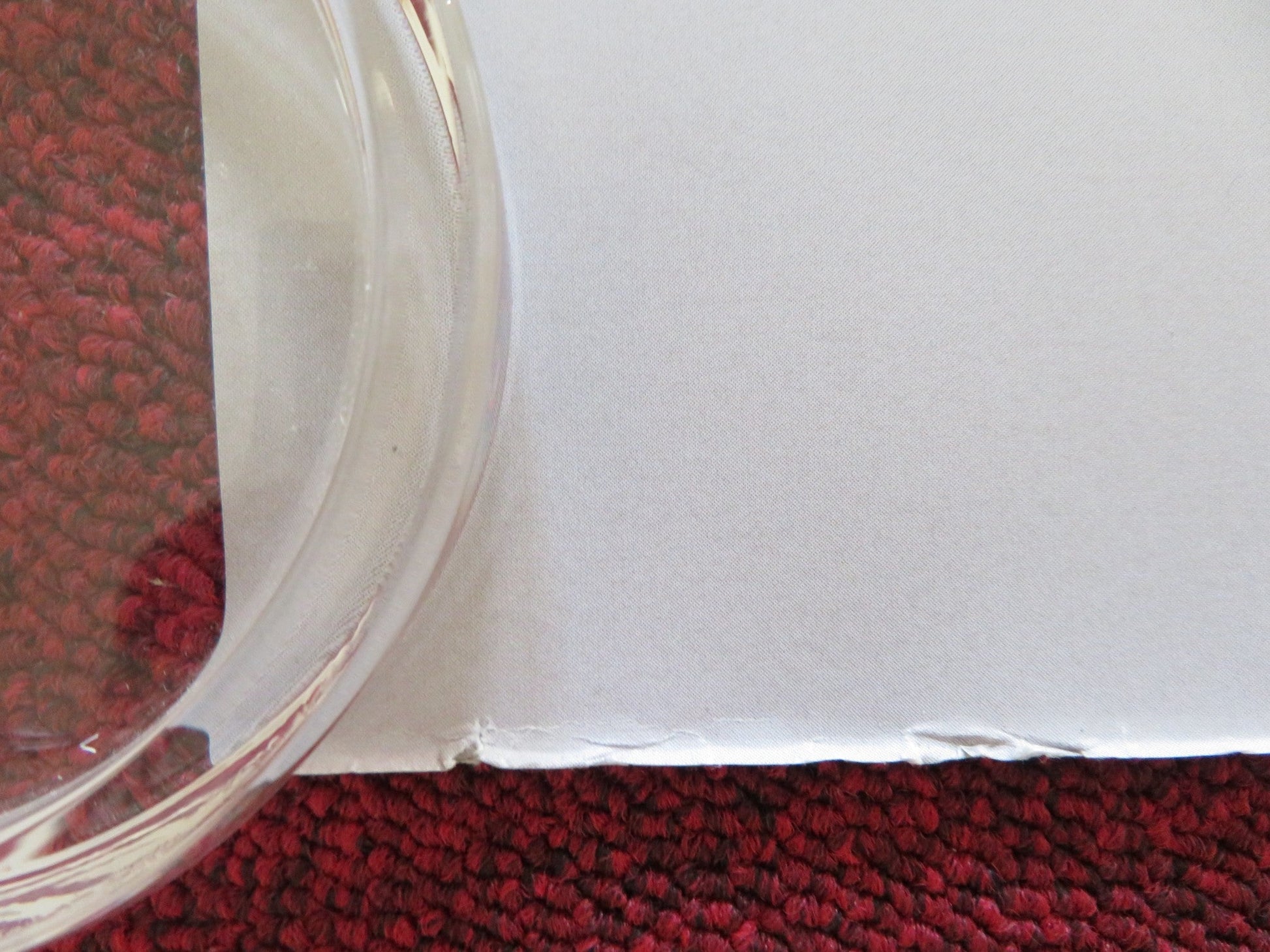 GREEN BORDER UK QUAD ROLLED POSTER JALAL ALTAWIL MAJA OSTASZEWSKA 2023 Rendezvous Cinema Movie posters