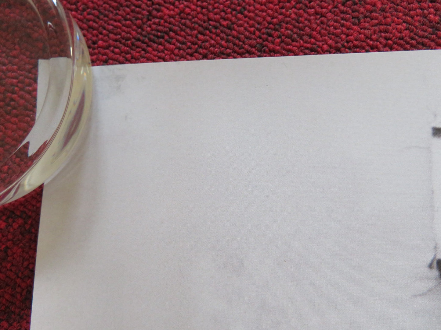 GREEN BORDER UK QUAD ROLLED POSTER JALAL ALTAWIL MAJA OSTASZEWSKA 2023 Rendezvous Cinema Movie posters