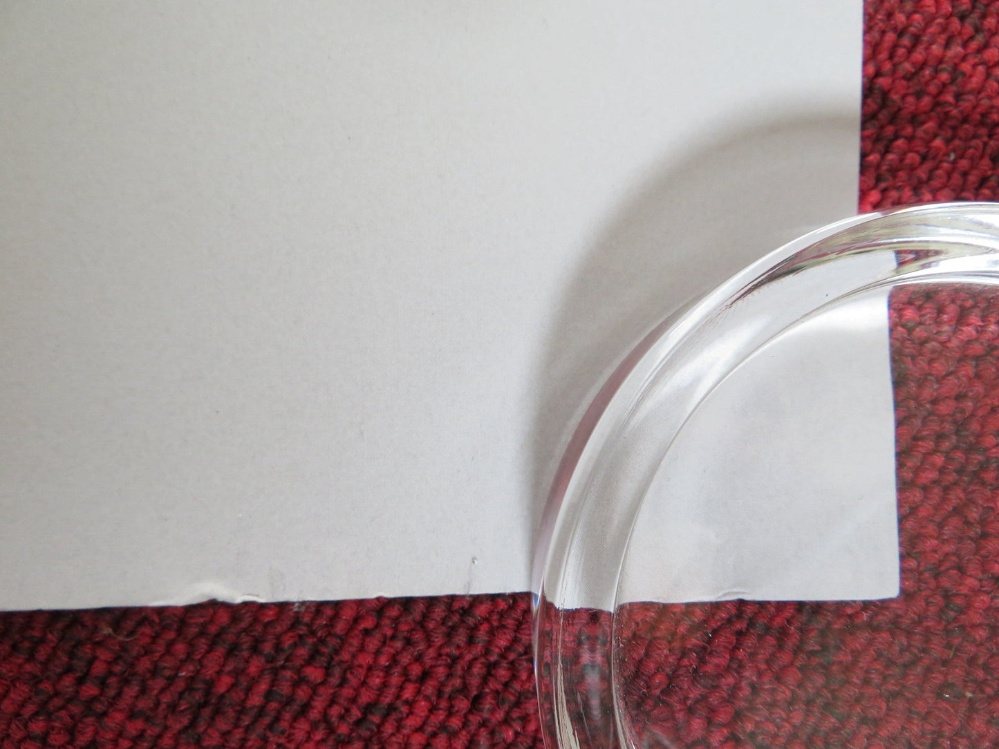 GREEN BORDER UK QUAD ROLLED POSTER JALAL ALTAWIL MAJA OSTASZEWSKA 2023 Rendezvous Cinema Movie posters