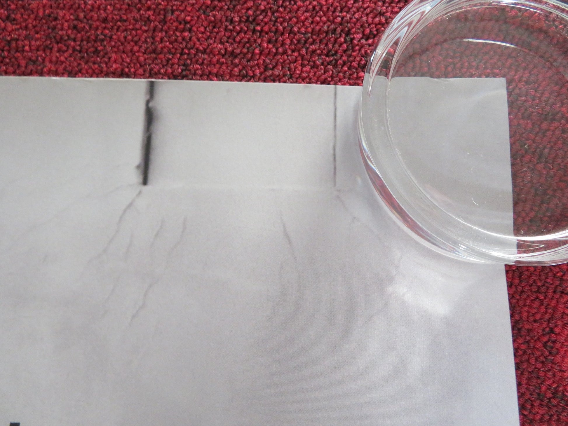 GREEN BORDER UK QUAD ROLLED POSTER JALAL ALTAWIL MAJA OSTASZEWSKA 2023 Rendezvous Cinema Movie posters