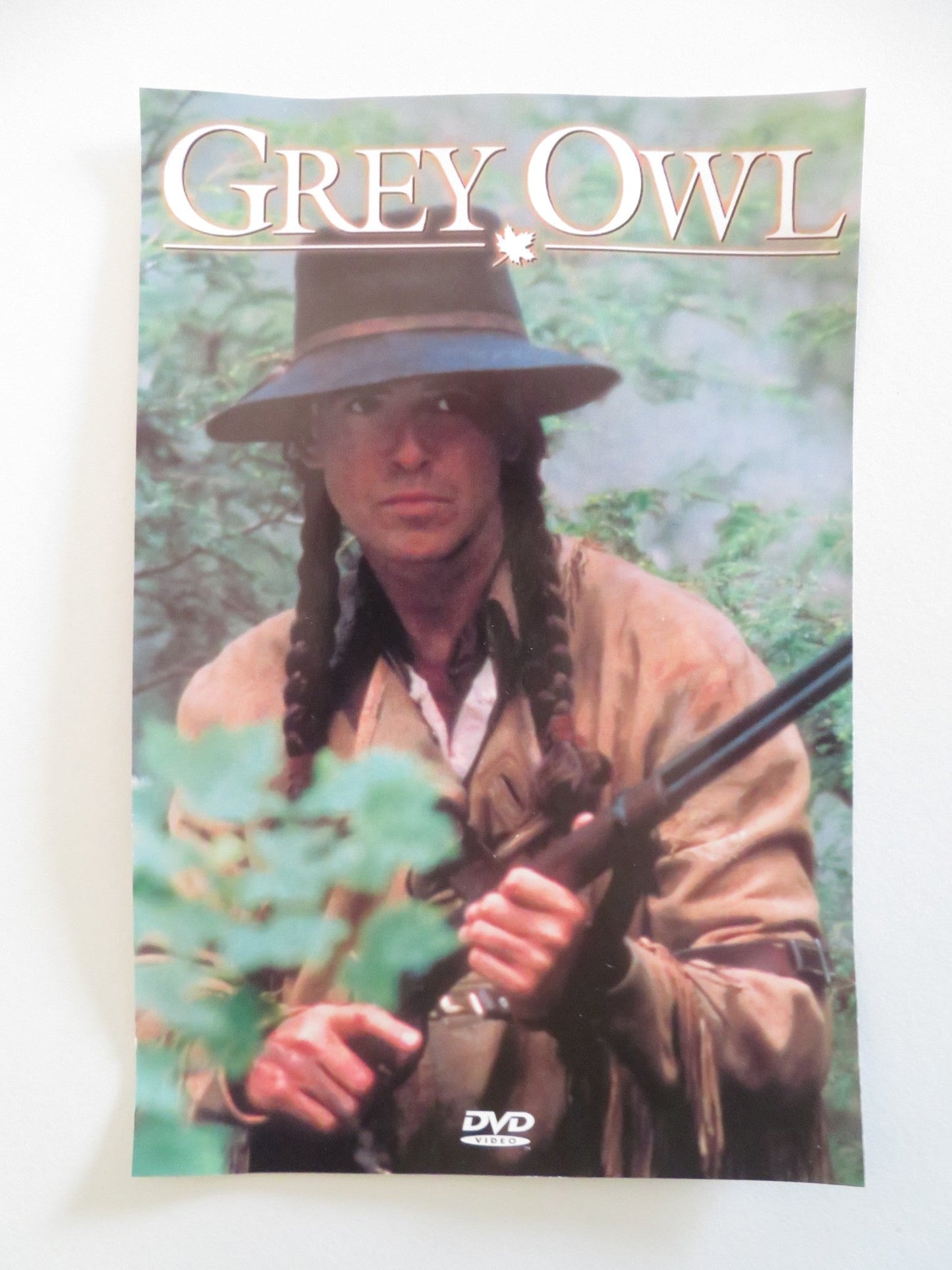 GREY OWL SPECIAL EDITION (DVD) PIERCE BROSNAN ANNIE GALIPEAU 1999 REGION 1 - Rendezvous Cinema