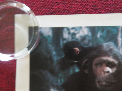 GREYSTOKE: THE LEGEND OF TARZAN, LORD OF THE APES UK QUAD ROLLED POSTER 1984 - Rendezvous Cinema
