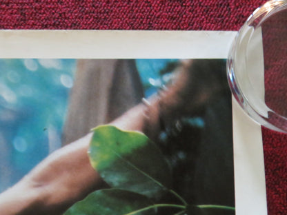 GREYSTOKE: THE LEGEND OF TARZAN, LORD OF THE APES UK QUAD ROLLED POSTER 1984 - Rendezvous Cinema