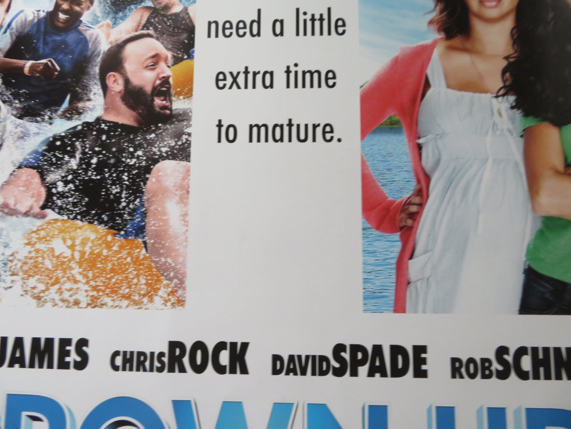 GROWN UPS UK QUAD ROLLED POSTER ADAM SANDLER KEVIN JAMES 2010 Rendezvous Cinema Movie posters