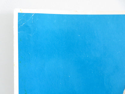 GULIZAR - A ITALIAN FOTOBUSTA POSTER EMEL SAYIN EDIZ HUN 1972 Movie posters