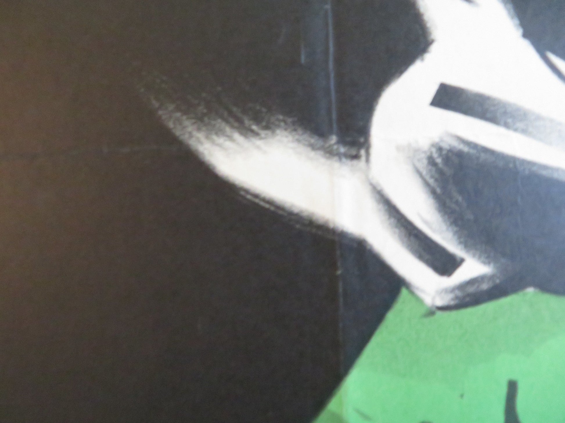 GYPSY COLT DANISH POSTER ROLLED DONNA CORCORAN WARD BOND 1954 Rendezvous Cinema Movie posters