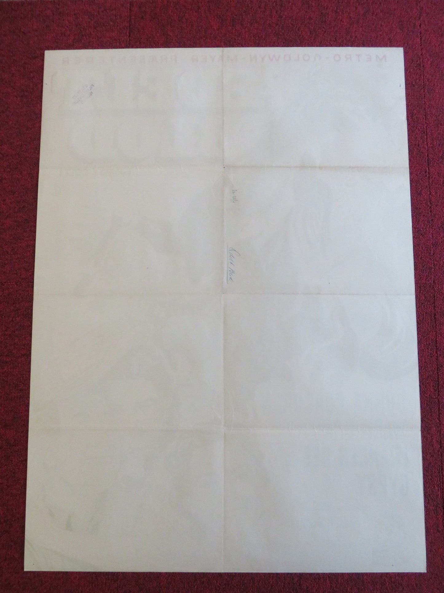 GYPSY COLT DANISH POSTER ROLLED DONNA CORCORAN WARD BOND 1954 Rendezvous Cinema Movie posters