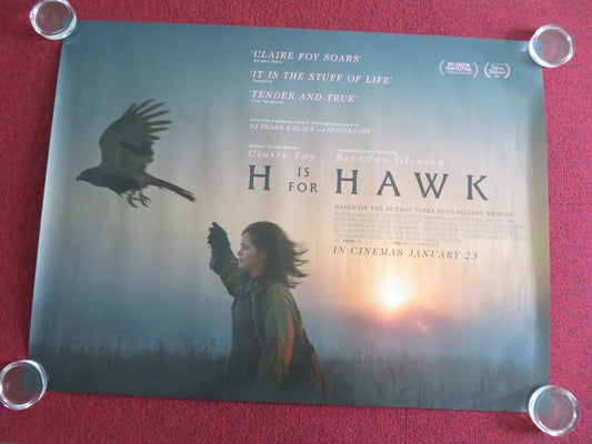 H Is For Hawk UK Quad Rolled Poster Claire Foy Brendan Gleeson 2025 Movie posters