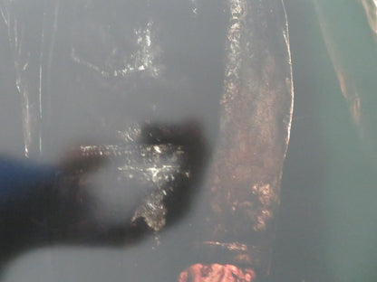 HALLOWEEN ENDS - A US ONE SHEET ROLLED POSTER JAMIE LEE CURTIS WILL PATTON 2022 Movie posters