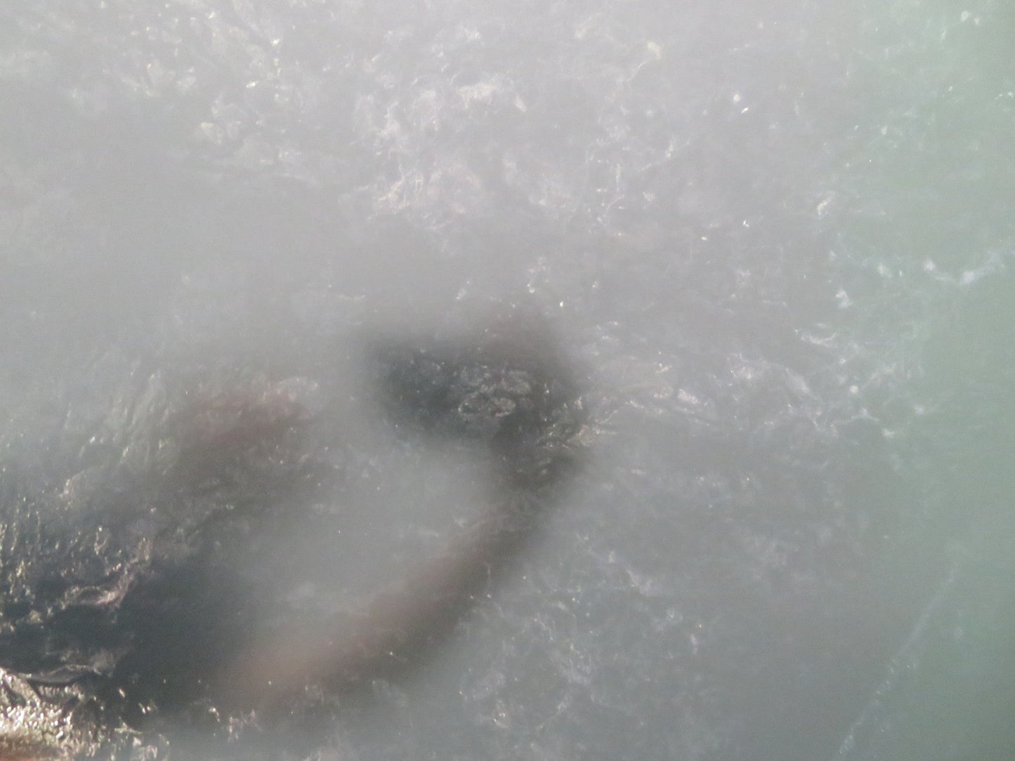 HALLOWEEN ENDS - B ONE SHEET ROLLED POSTER JAMIE LEE CURTIS WILL PATTON 2022 Movie posters