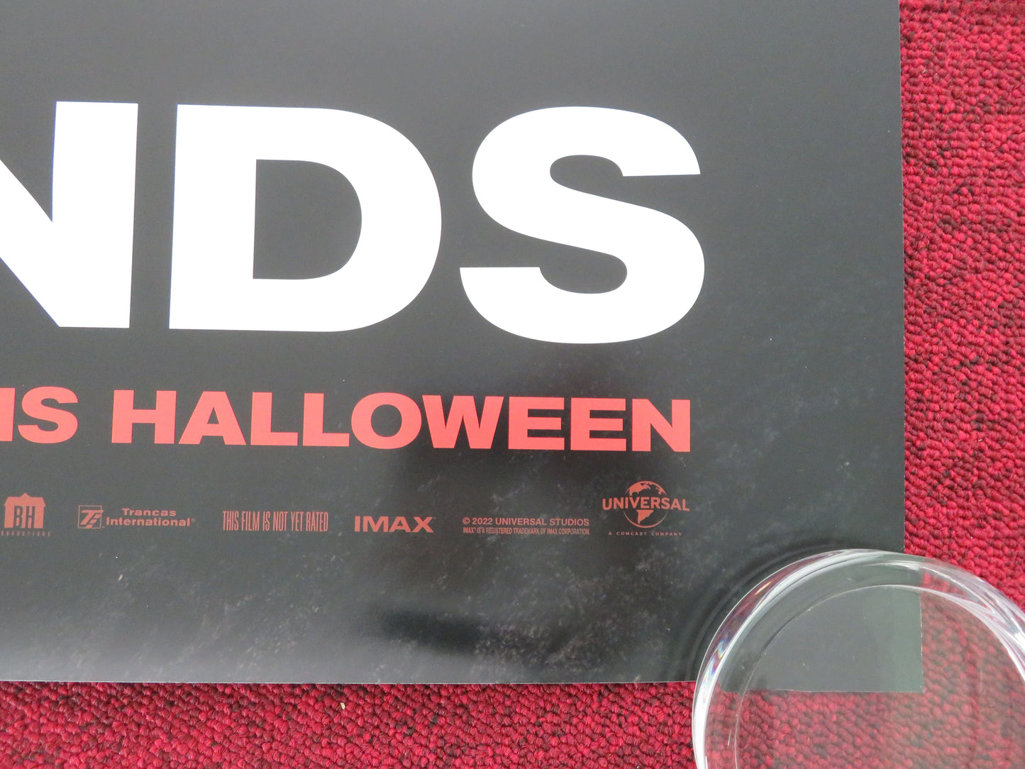 Halloween Ends US One Sheet Rolled Poster Jamie Lee Curtis Andi Matichak 2022 Movie posters