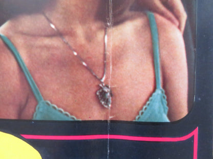 HARDCORE DISPOSTA AL PIACERE / FIONA - A ITALIAN FOTOBUSTA POSTER RICHMOND 1977 Rendezvous Cinema Movie posters