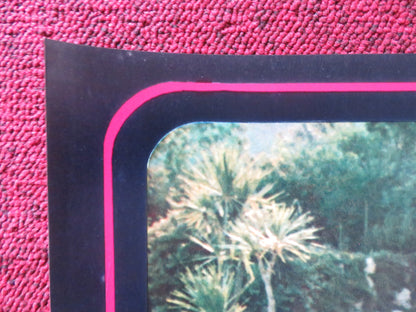 HARDCORE DISPOSTA AL PIACERE / FIONA - H ITALIAN FOTOBUSTA POSTER RICHMOND 1977 Rendezvous Cinema Movie posters