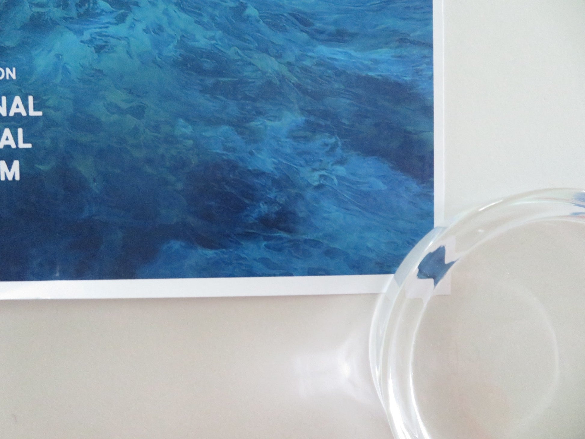 HARPOON ROLLED POSTER MUNRO CHAMBERS CHRIS GRAY 2019 Movie posters