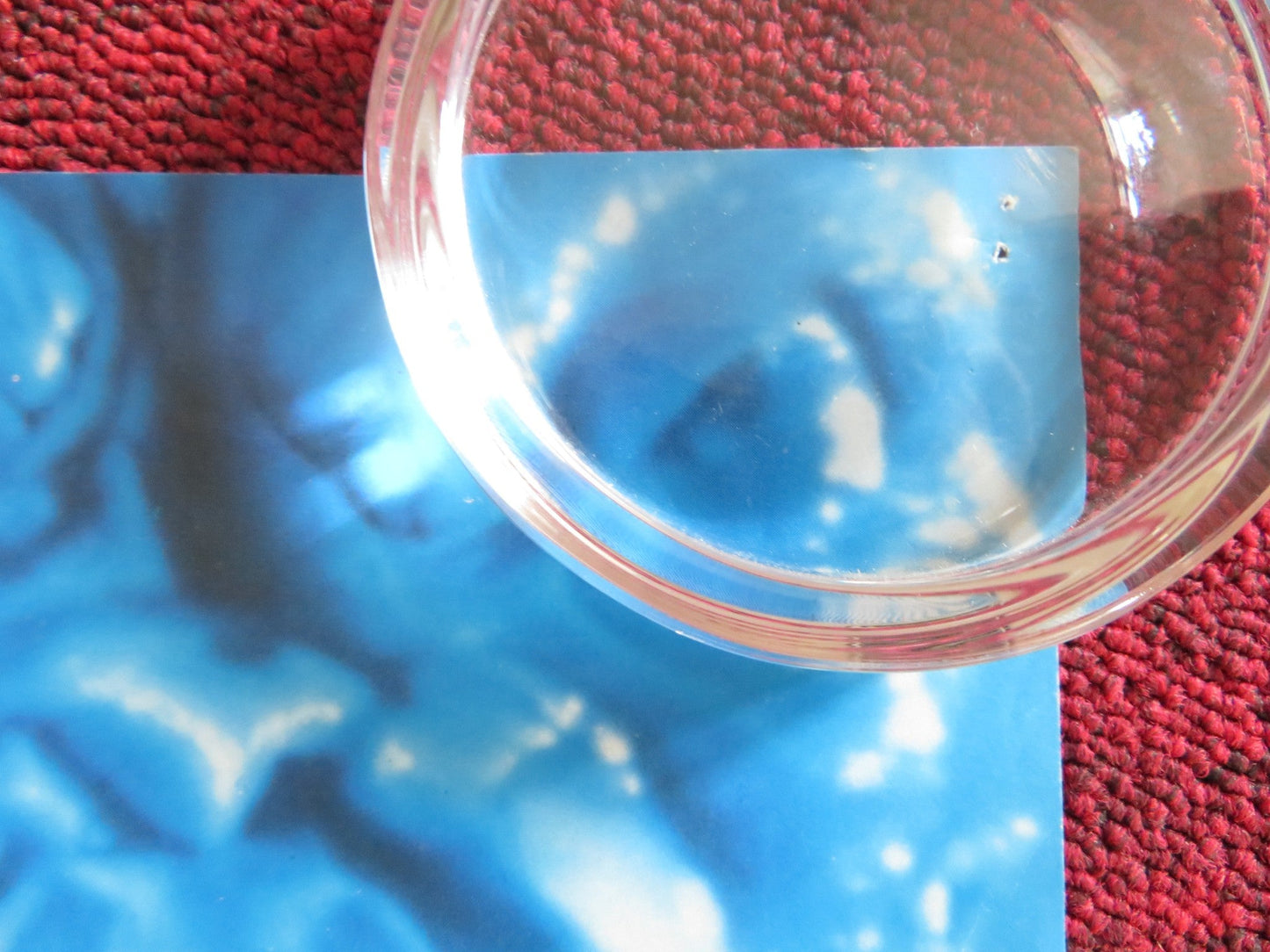 HELLBORN / NIGHT ANGEL VHS VIDEO POSTER KAREN BLACK LINDEN ASHBY 1990 Rendezvous Cinema Movie posters