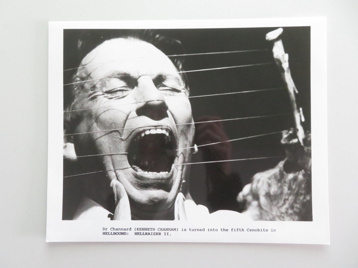 HELLBOUND: HELLRAISER II MOVIE STILL PHOTO LOT OF 7 DOUG BRADLEY C. HIGGINS 1988 Movie posters