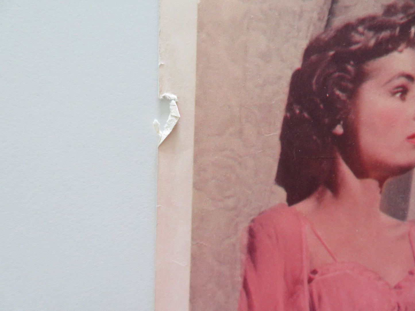 HELL'S ISLAND US INSERT POSTER JOHN PAYNE MARY MURPHY 1955 Rendezvous Cinema Movie posters