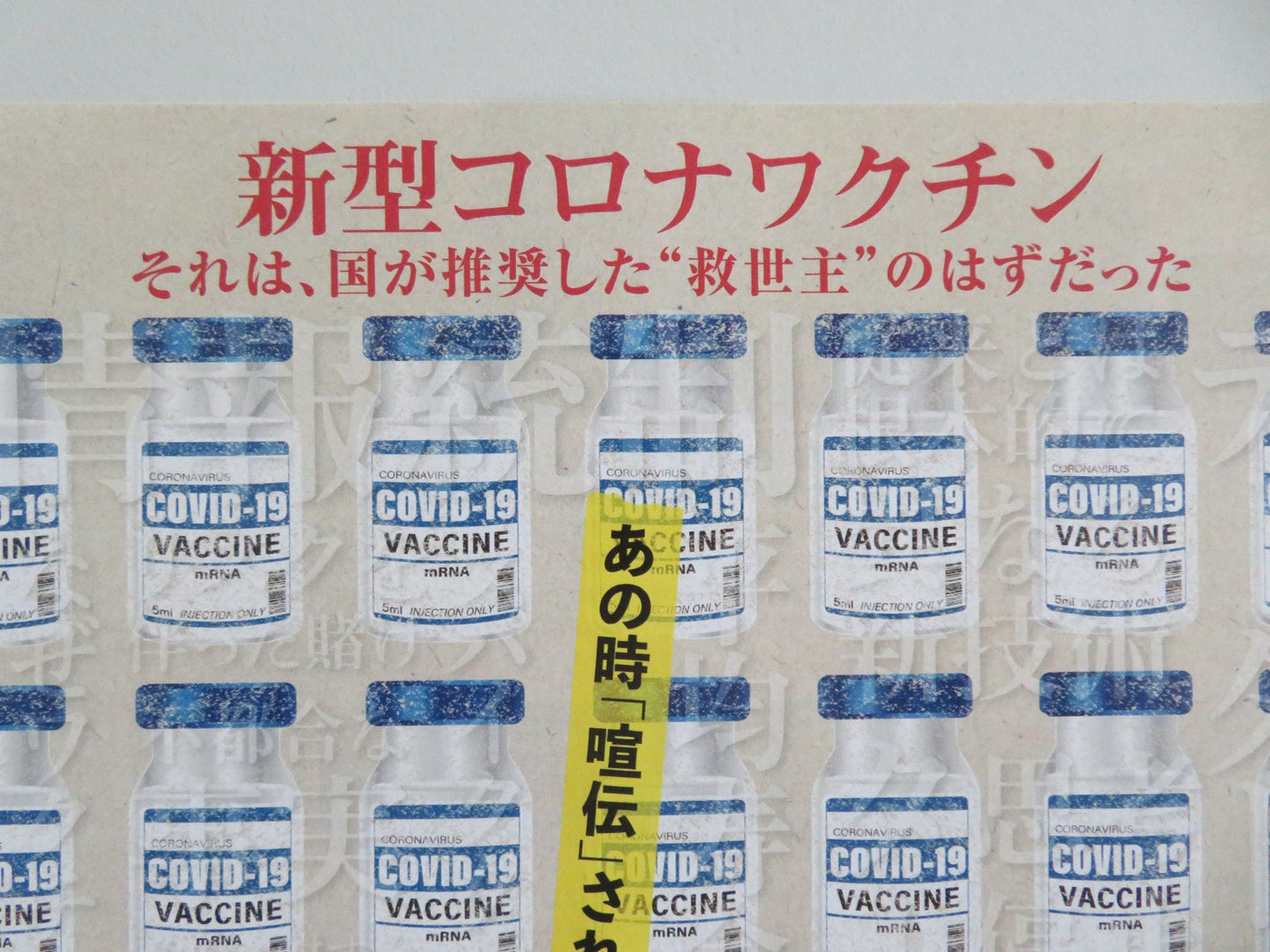 HIPPOCRATES' BLIND SPOT JAPANESE CHIRASHI (B5) POSTER HAYA OISHI 2025 Movie posters