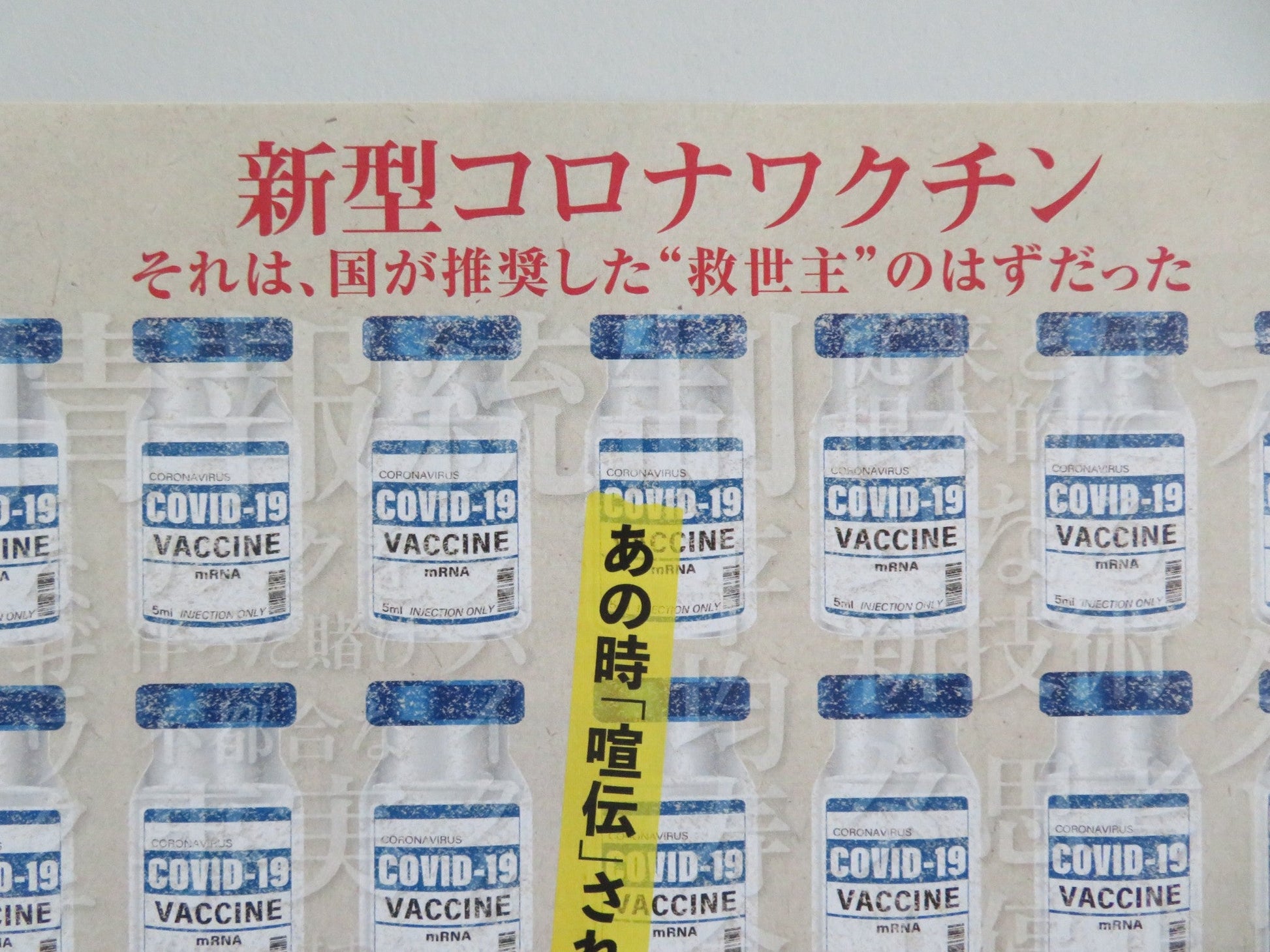 HIPPOCRATES' BLIND SPOT JAPANESE CHIRASHI (B5) POSTER HAYA OISHI 2025 Movie posters