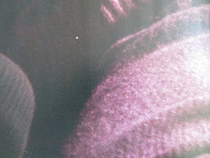 HIS THREE DAUGHTERS UK QUAD ROLLED POSTER CARRIE COON NATASHA LYONNE 2023 Rendezvous Cinema Movie posters