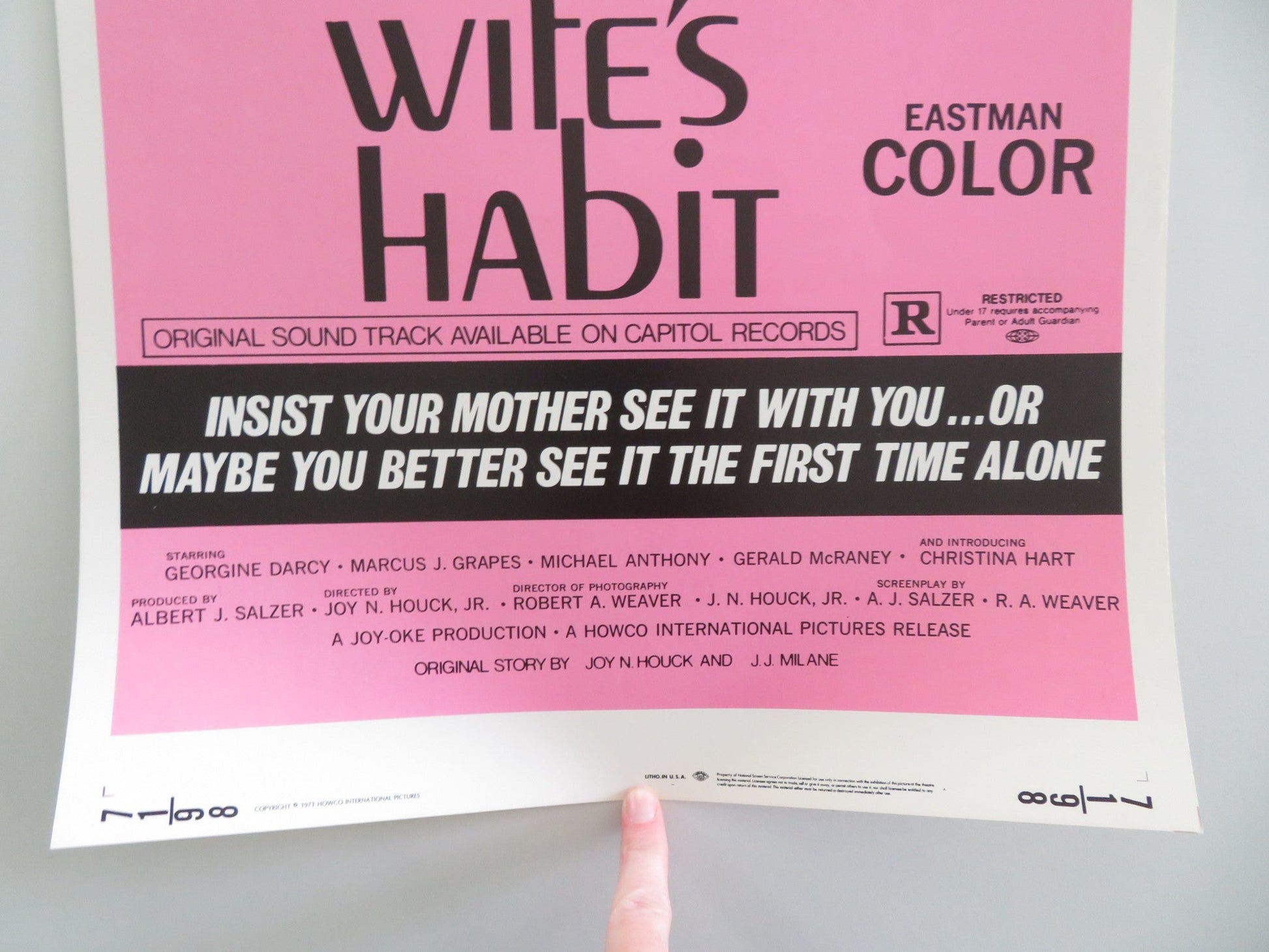 His Wife's Habit US Insert Poster Georgine Darcy Marcus J. Grapes 1971 Movie posters
