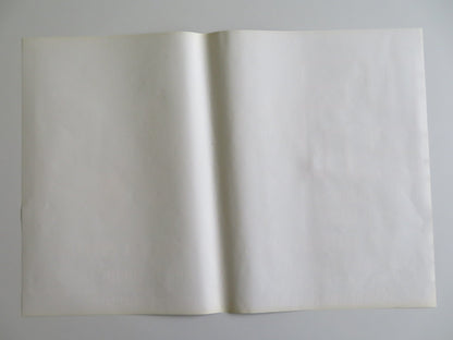 HITLER: THE LAST TEN DAYS - F ITALIAN FOTOBUSTA POSTER ALEC GUINNESS WARD 1973 Rendezvous Cinema Movie posters