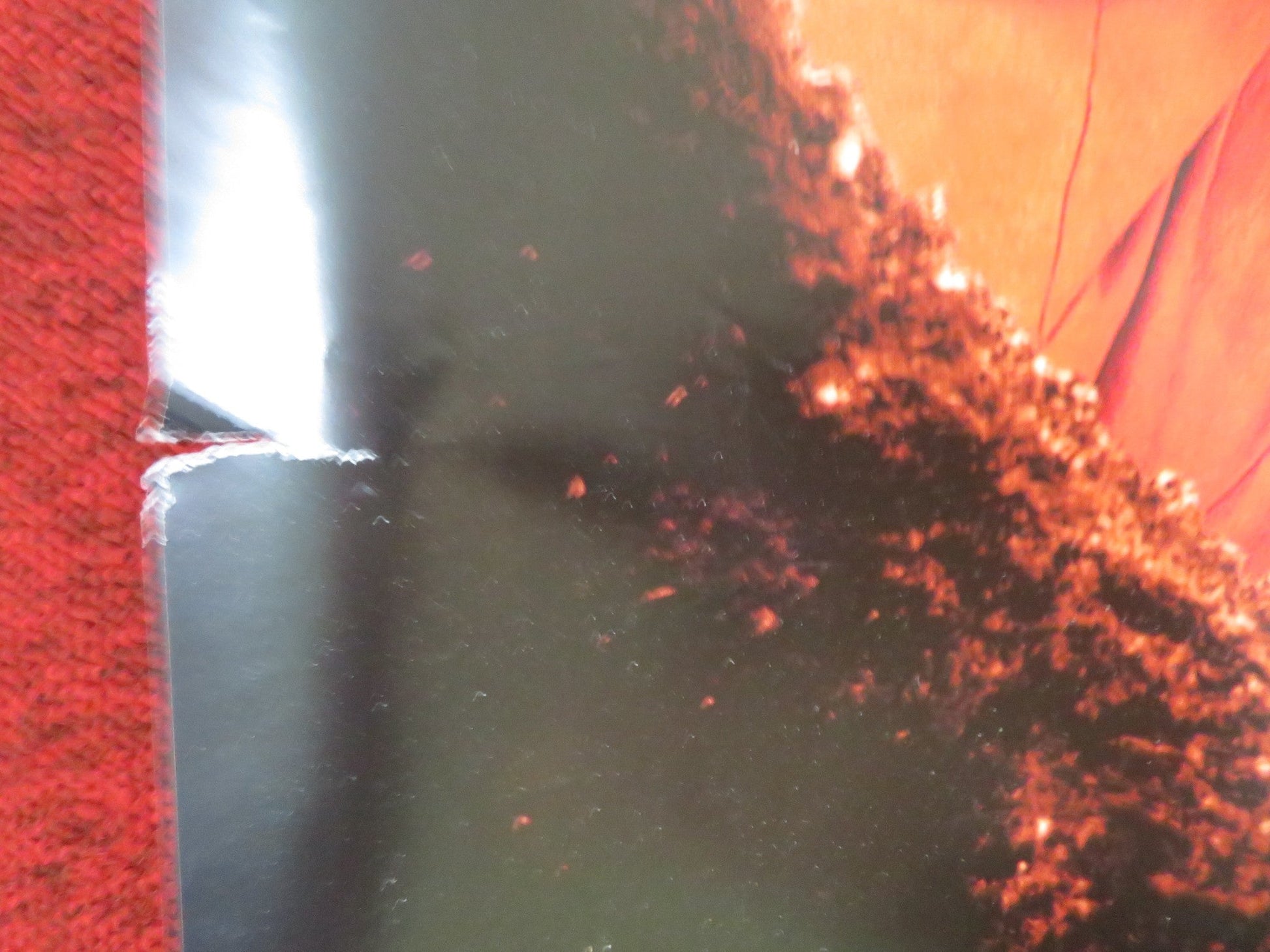 HOLES - A UK QUAD ROLLED POSTER DISNEY SHIA LA BEOUF SIGOURNEY WEAVER 2003 Movie posters