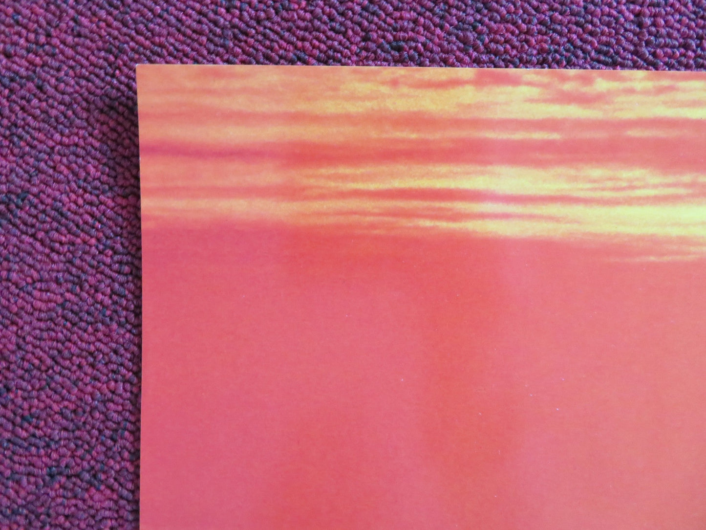 HOMEWARD BOUND: THE INCREDIBLE JOURNEY VHS VIDEO POSTER DISNEY DON ALDER 1993 Rendezvous Cinema Movie posters