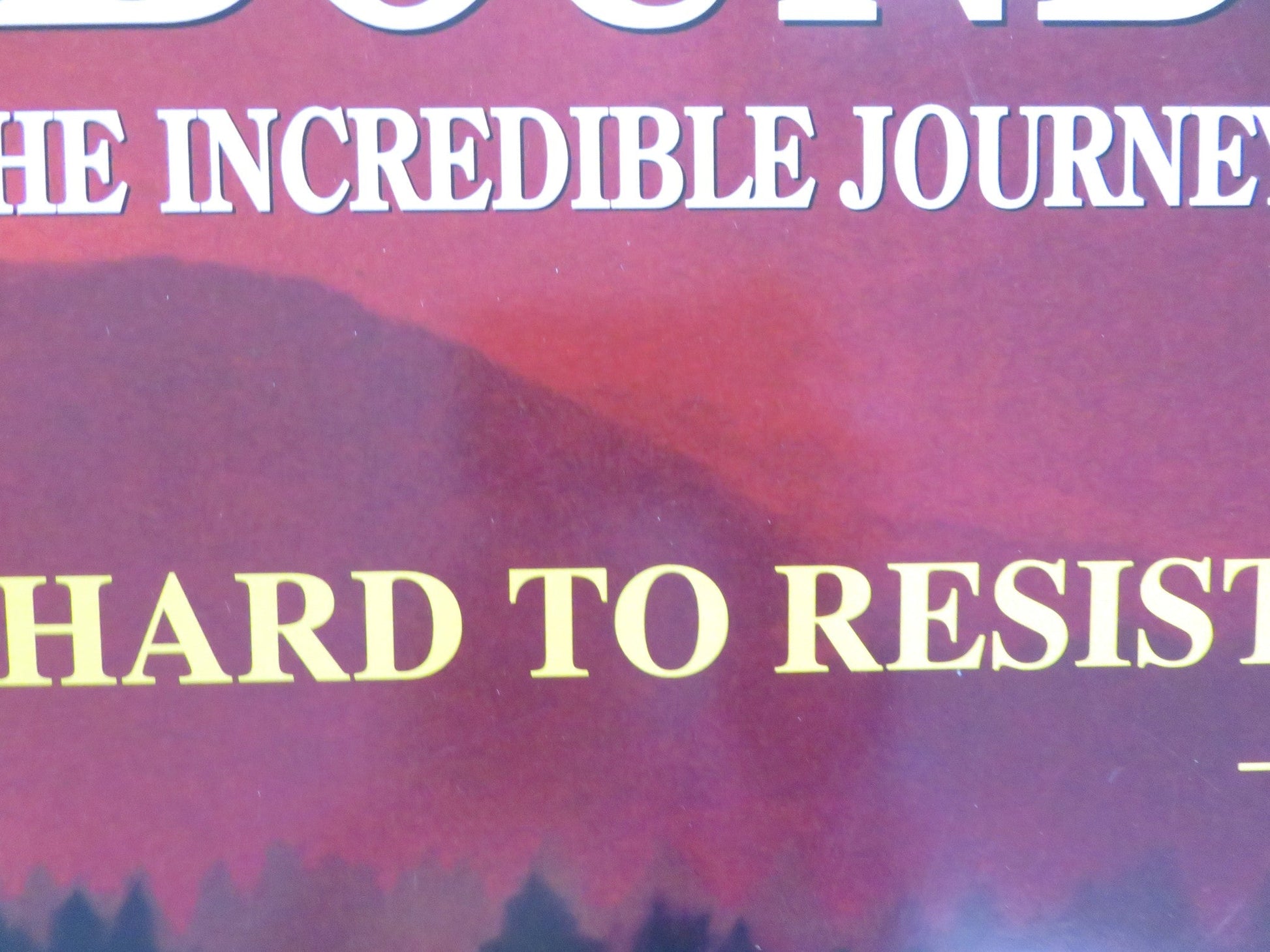 HOMEWARD BOUND: THE INCREDIBLE JOURNEY VHS VIDEO POSTER DISNEY DON ALDER 1993 Rendezvous Cinema Movie posters