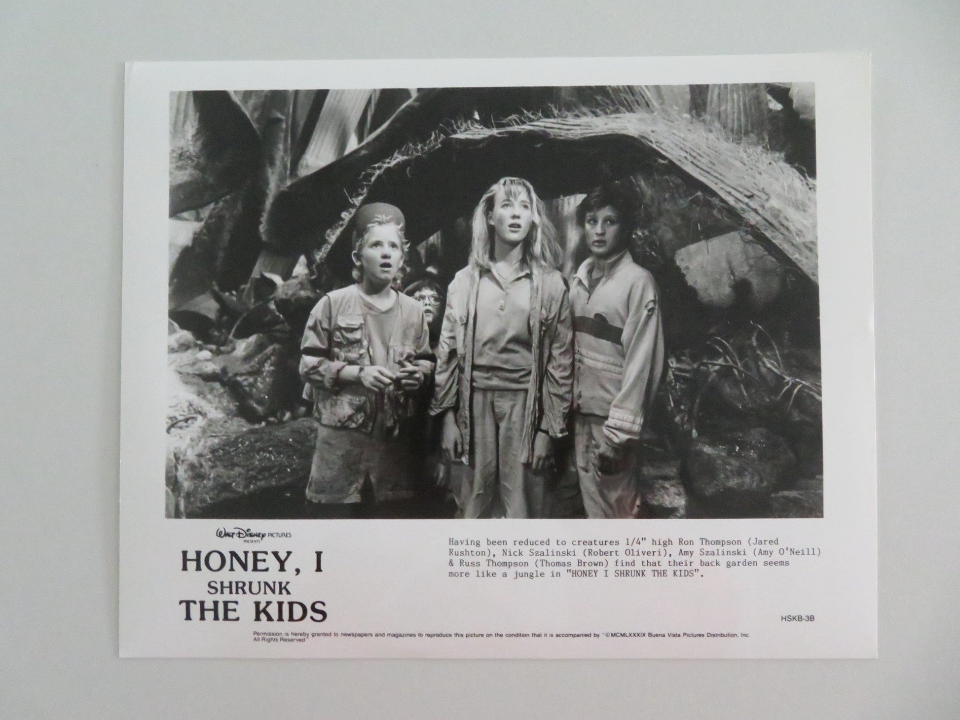 HONEY I SHRUNK THE KIDS MOVIE STILL PHOTO LOT OF 5 DISNEY RICK MORANIS 1989 - Rendezvous Cinema