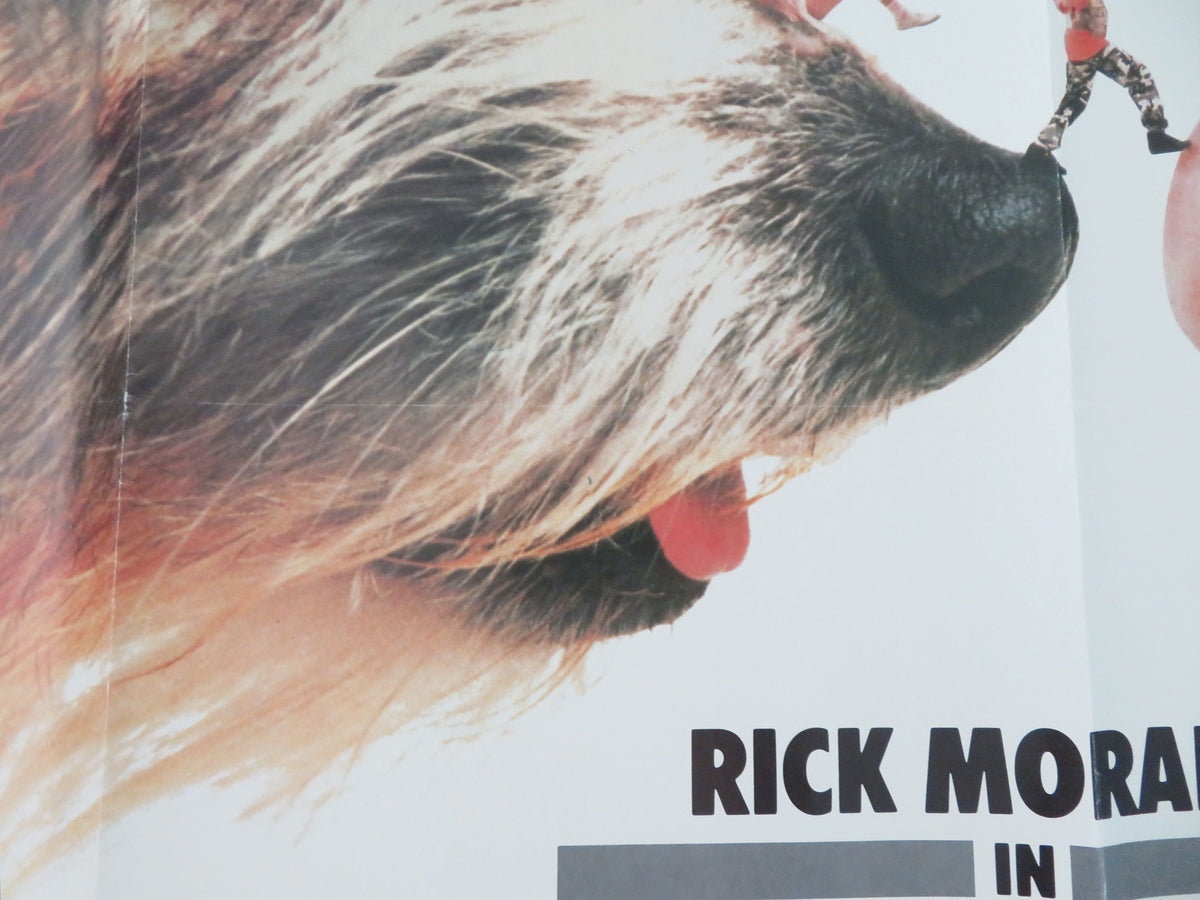 Honey, I Shrunk the Kids UK Quad Rolled Poster Disney Rick Moranis 1989 Movie posters