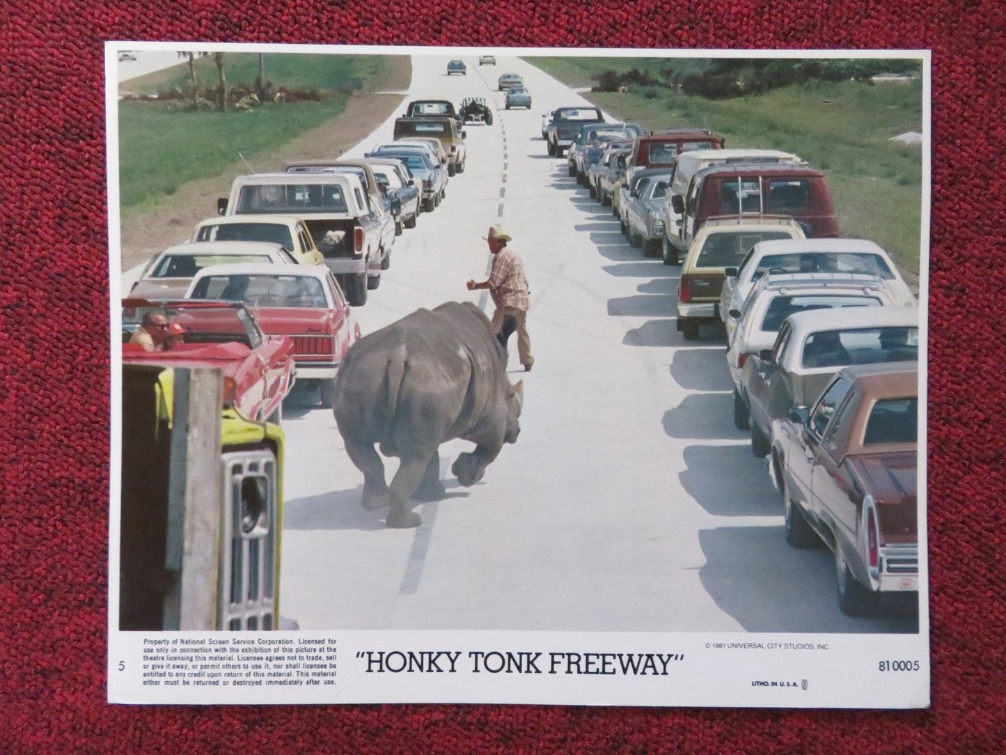 HONKY TONK FREEWAY - 5 LOBBY CARD DAVID RASCHE PAUL JABARA 1981 Rendezvous Cinema Movie posters