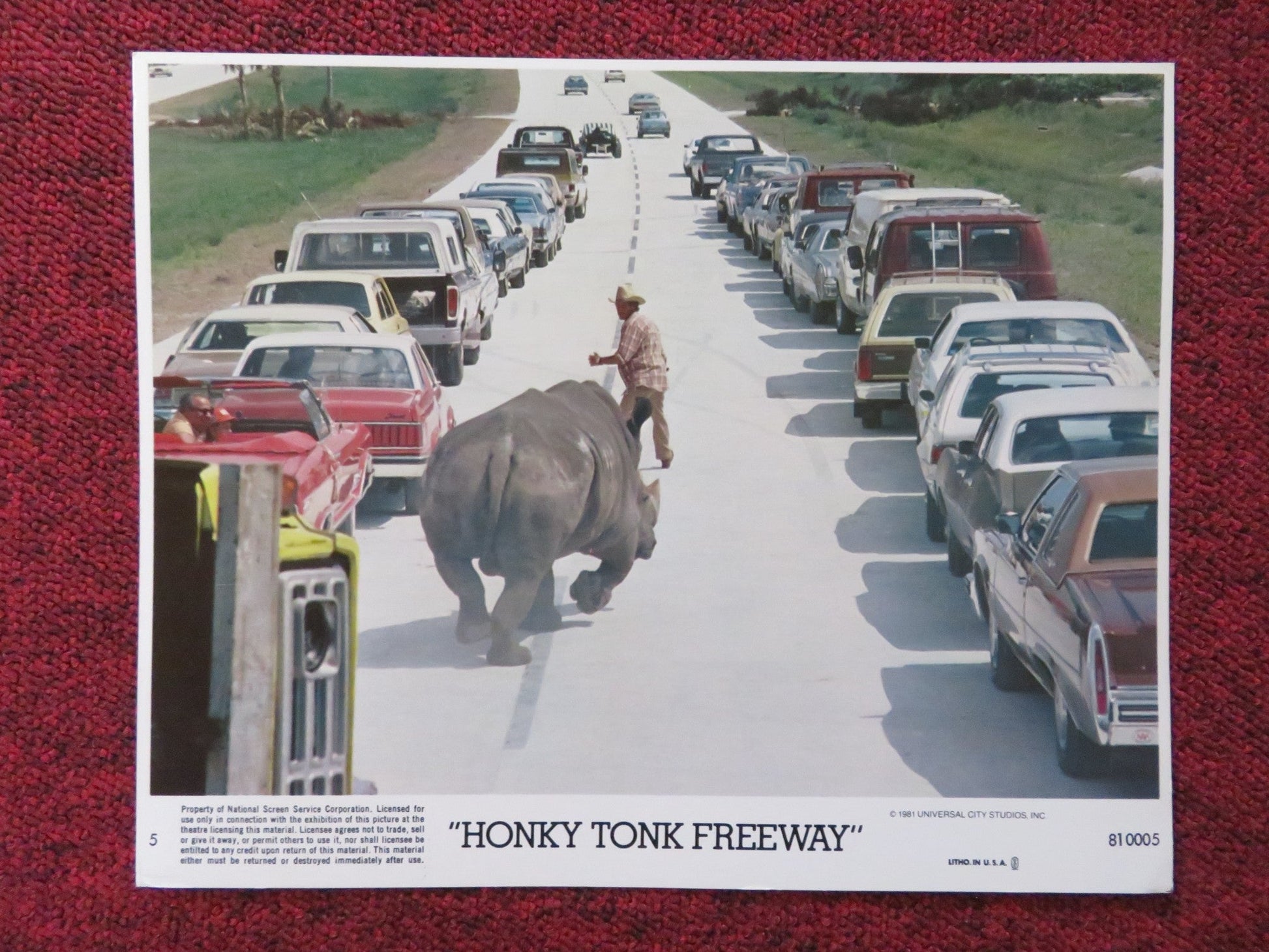 HONKY TONK FREEWAY - 5 LOBBY CARD DAVID RASCHE PAUL JABARA 1981 Rendezvous Cinema Movie posters